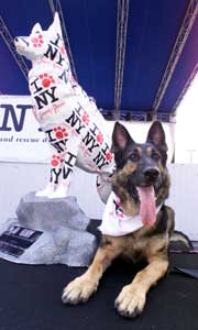 ruger-and-statue.jpg